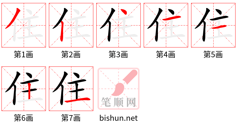 住 笔顺规范