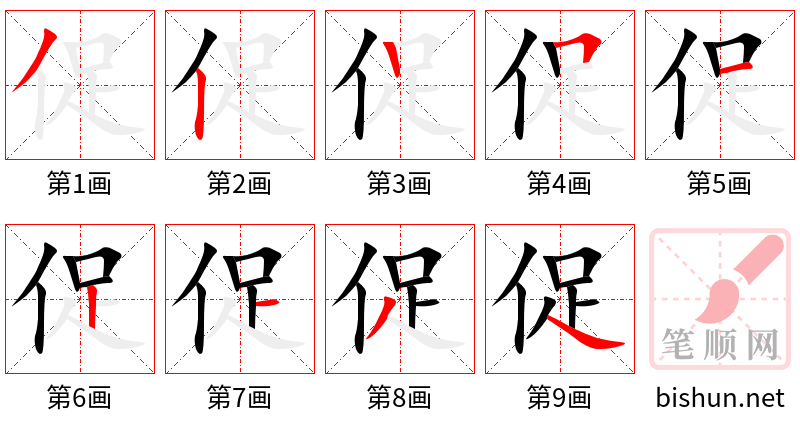 促 笔顺规范