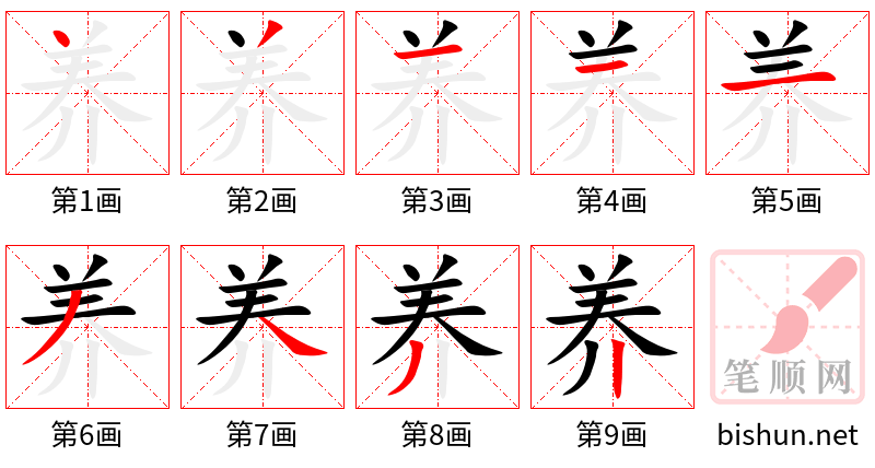 养 笔顺规范