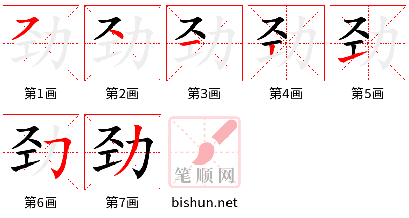 劲 笔顺规范