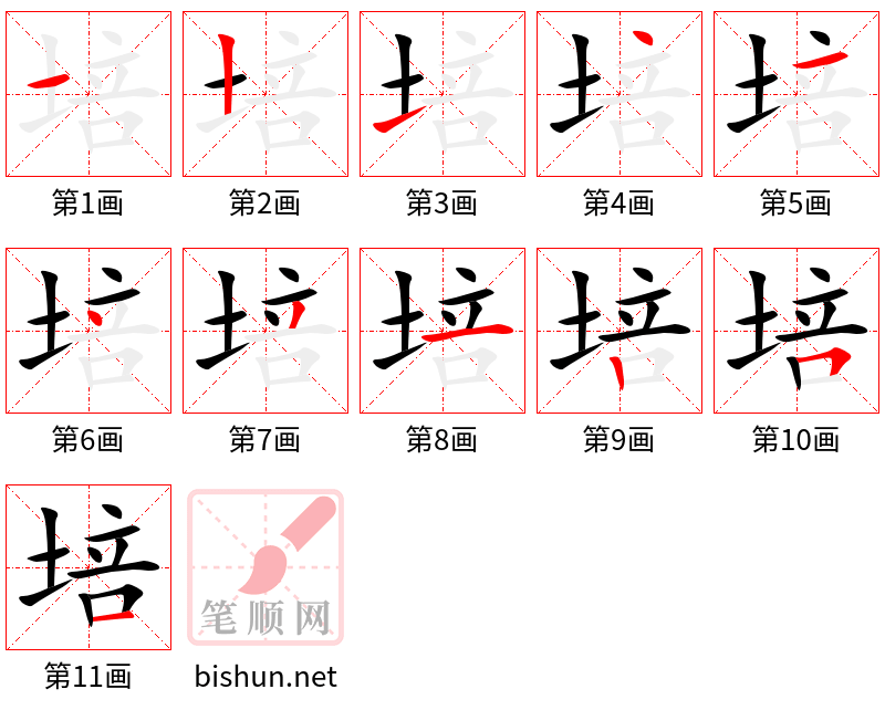 培 笔顺规范