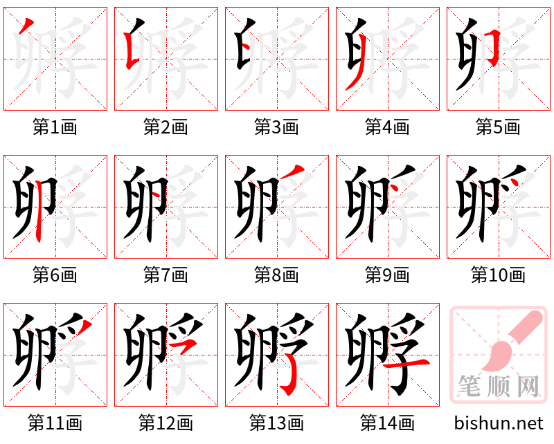 孵 笔顺规范