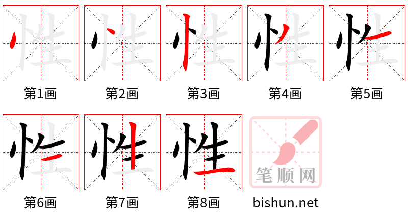 性 笔顺规范