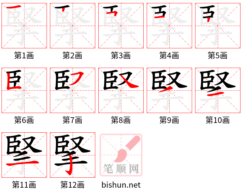 掔 笔顺规范