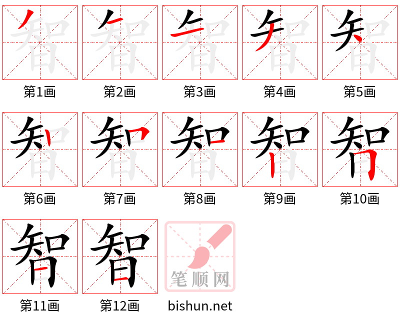 智 笔顺规范