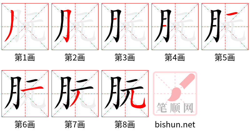 朊 笔顺规范