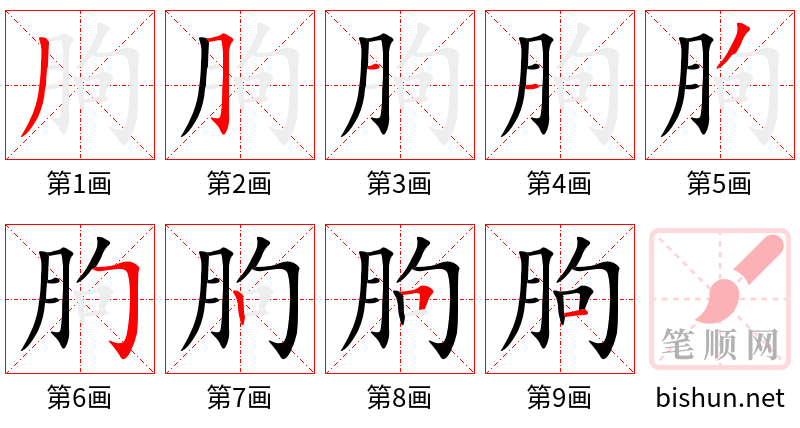 朐 笔顺规范