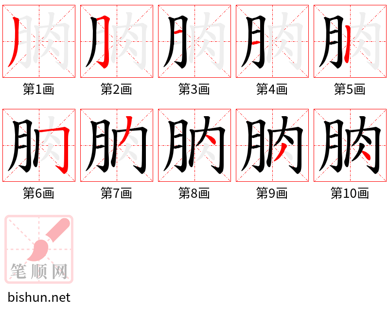 朒 笔顺规范