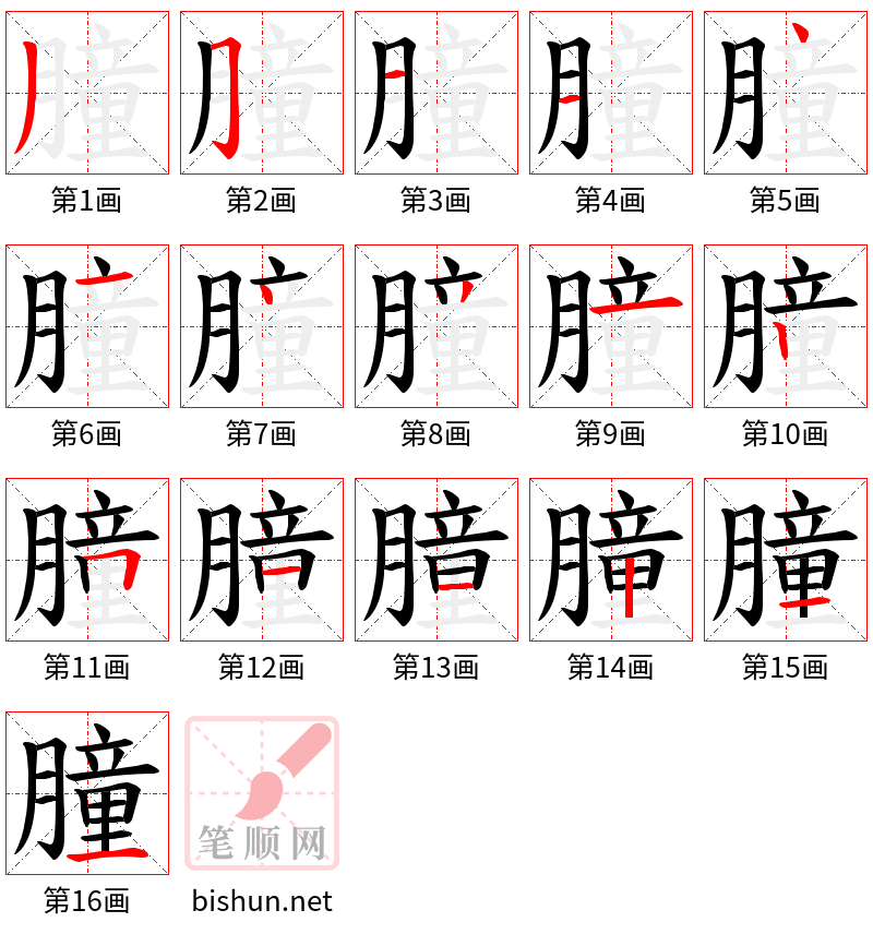 朣 笔顺规范