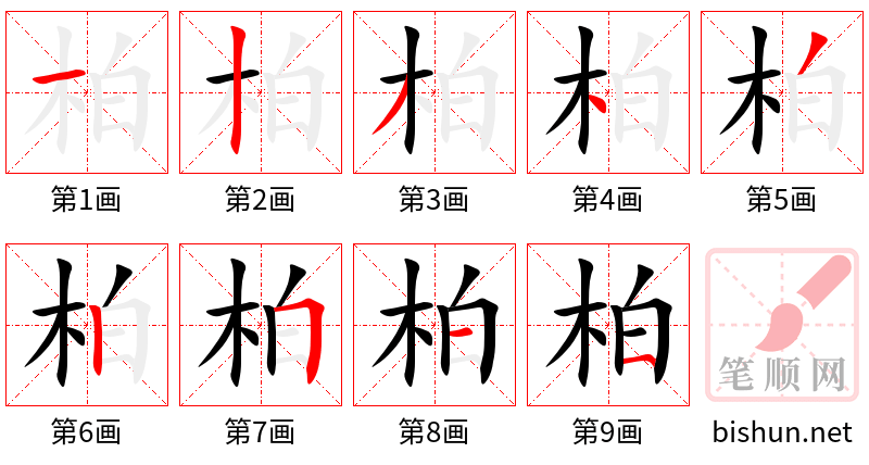 柏 笔顺规范