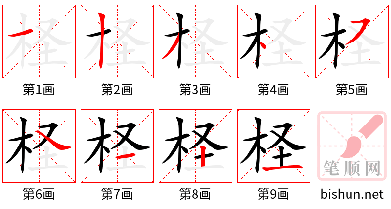 柽 笔顺规范