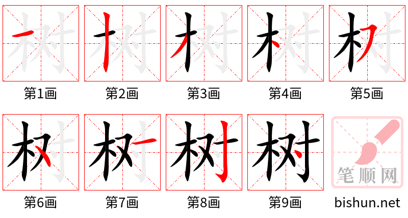 树 笔顺规范