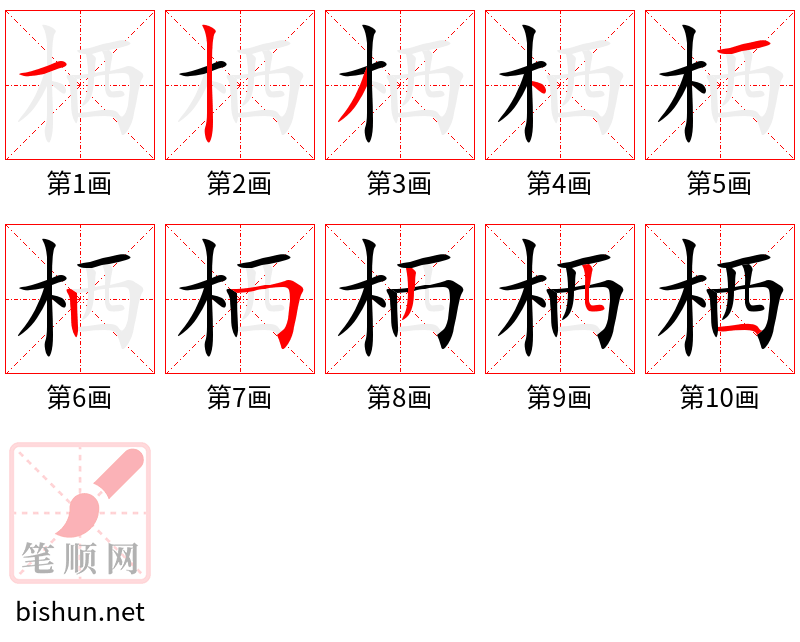 栖 笔顺规范