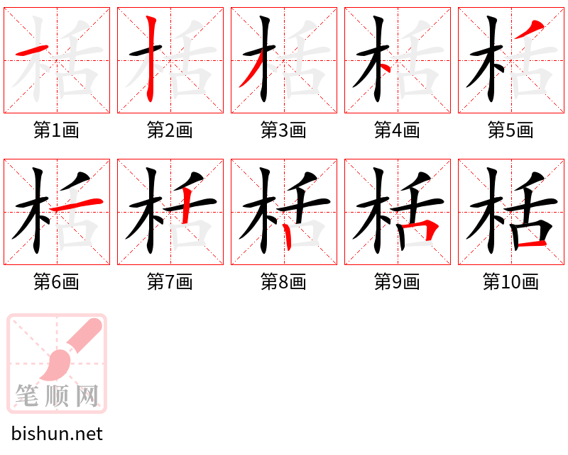 栝 笔顺规范