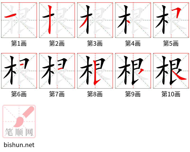 根 笔顺规范