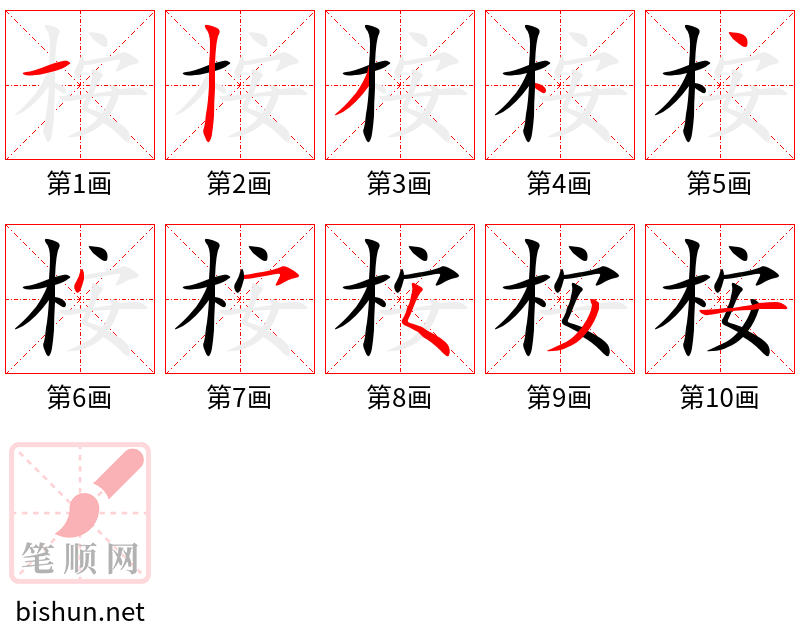 桉 笔顺规范