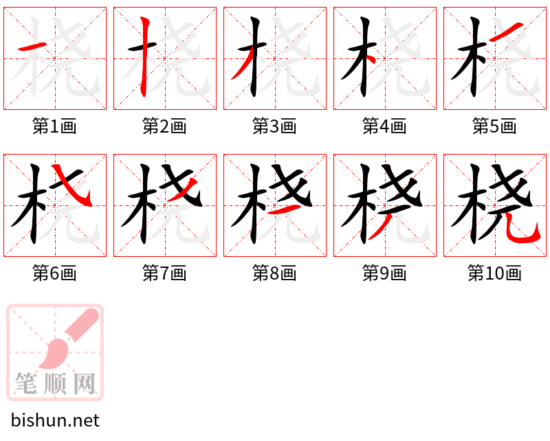 桡 笔顺规范