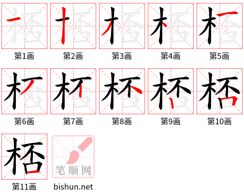 桮 笔顺规范