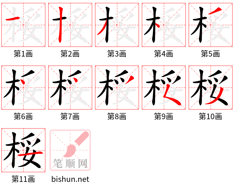 桵 笔顺规范