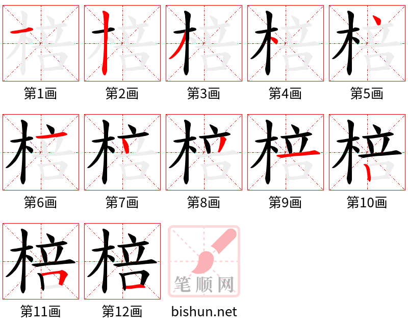 棓 笔顺规范