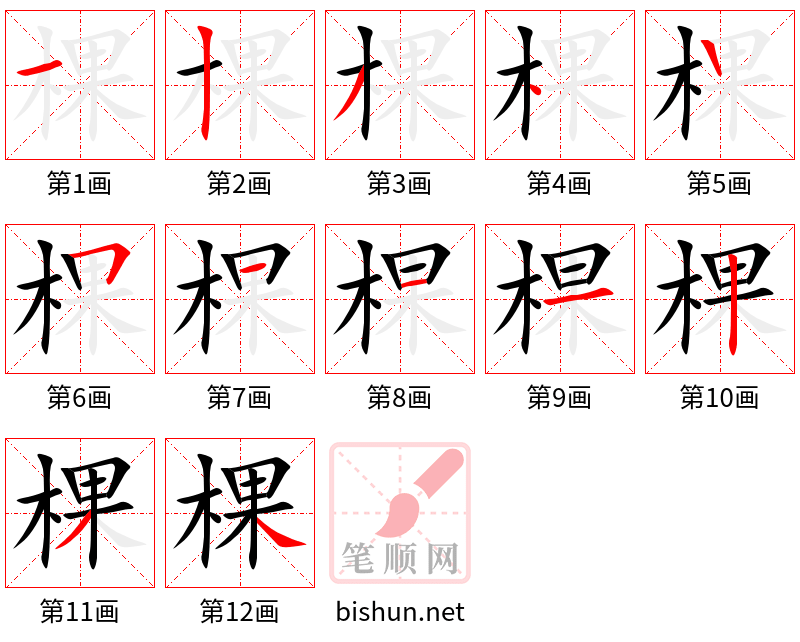 棵 笔顺规范