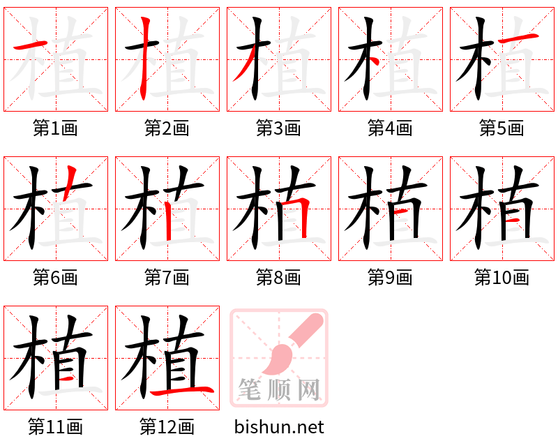 植 笔顺规范