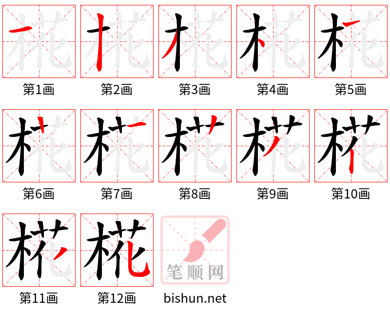 椛 笔顺规范