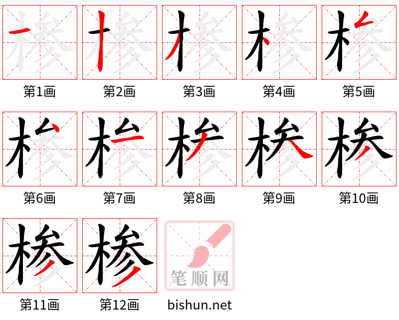 椮 笔顺规范