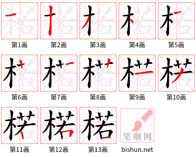 楉 笔顺规范