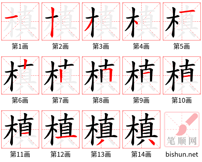 槙 笔顺规范