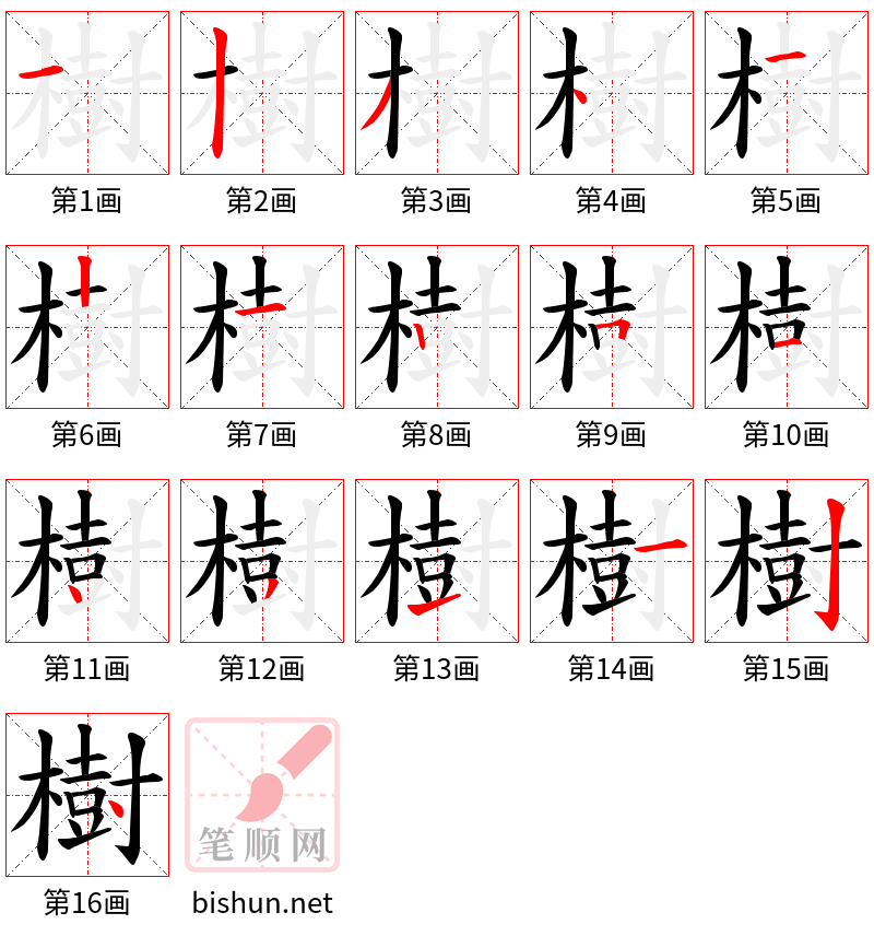 樹 笔顺规范