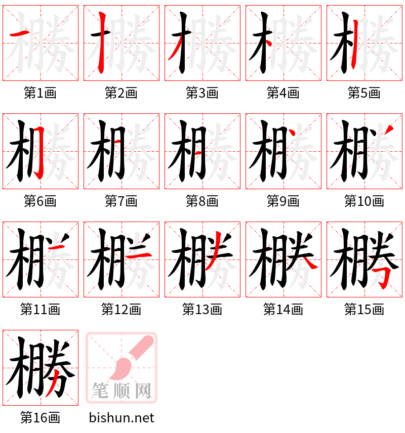 橳 笔顺规范