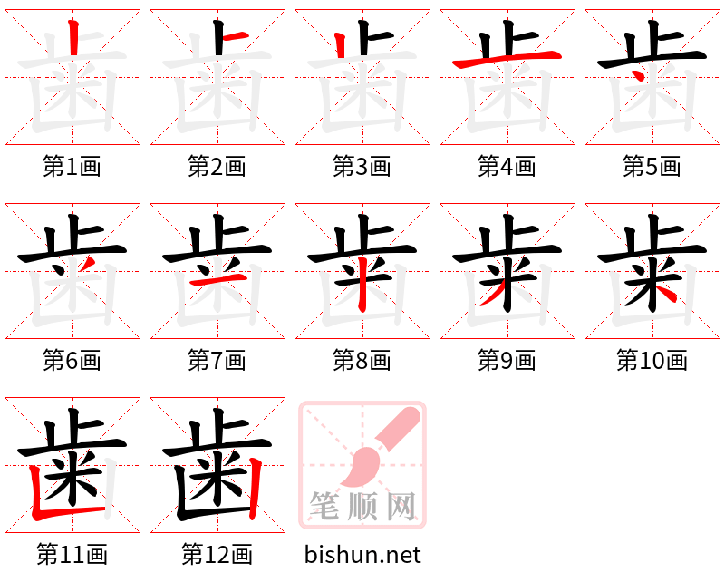 歯 笔顺规范