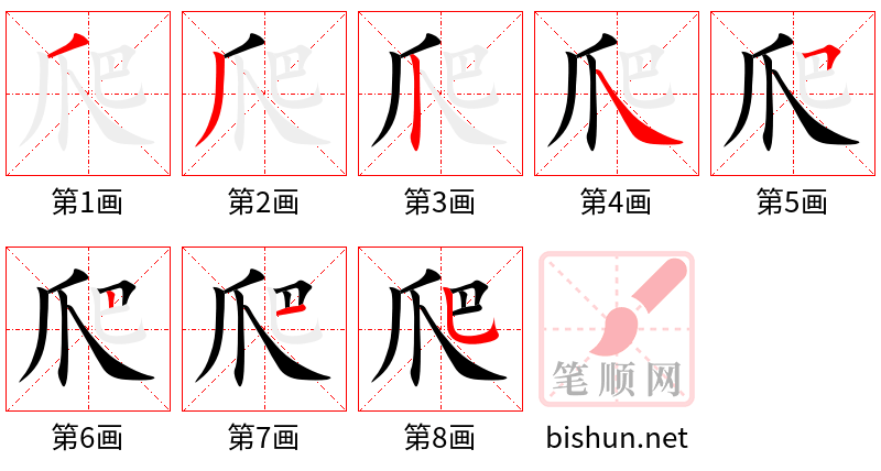 爬 笔顺规范