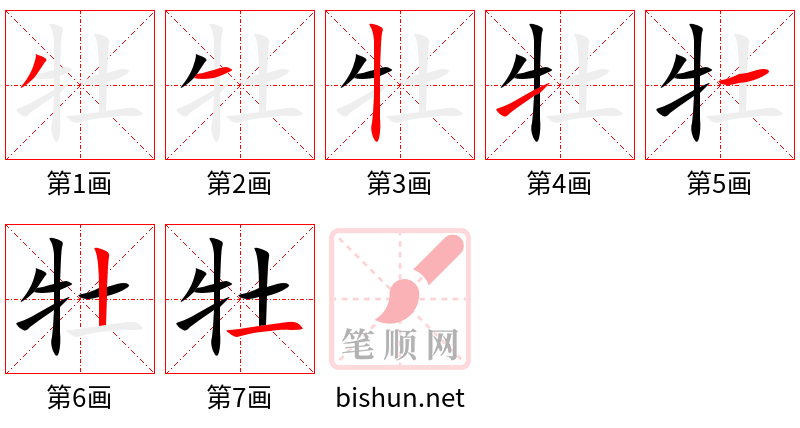 牡 笔顺规范