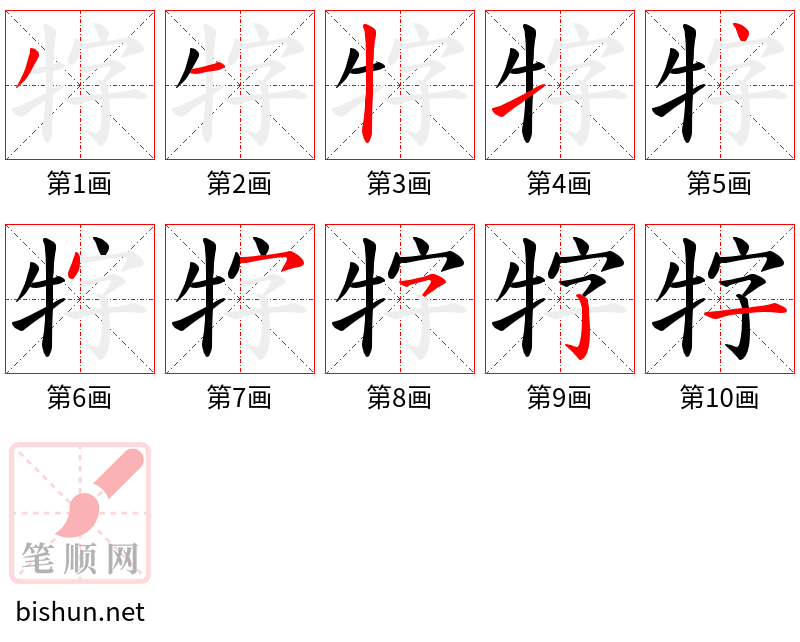 牸 笔顺规范