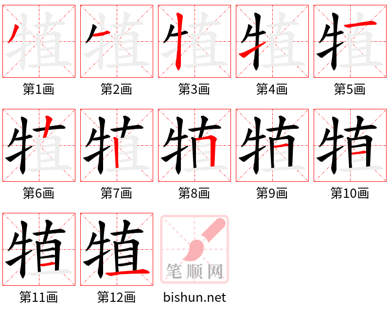 犆 笔顺规范