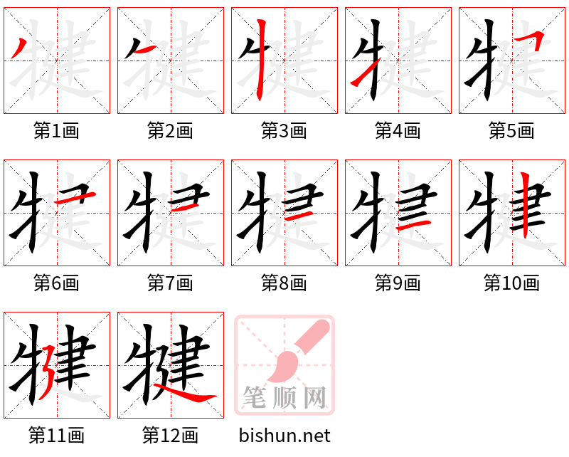 犍 笔顺规范