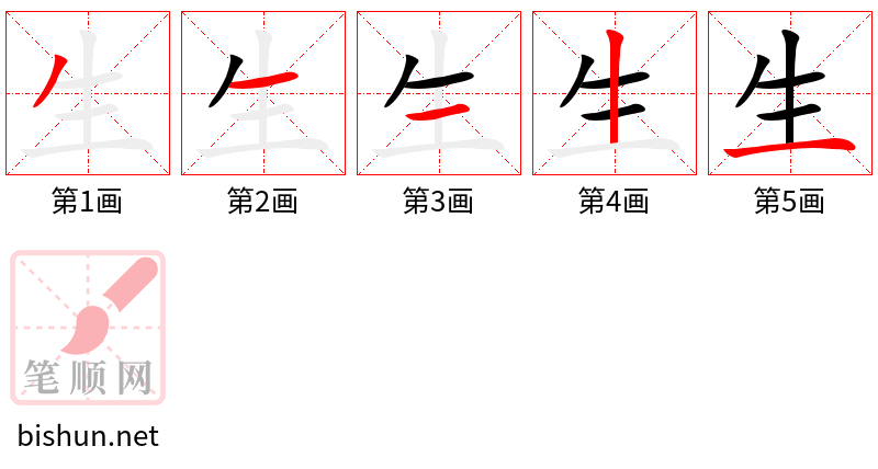 生 笔顺规范