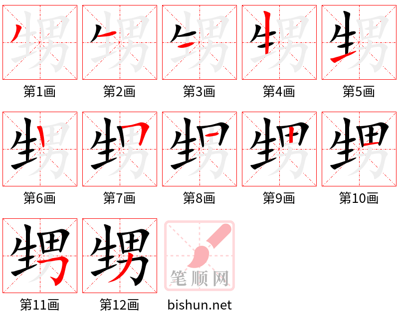 甥 笔顺规范