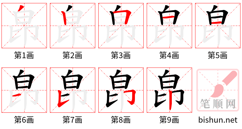 皍 笔顺规范