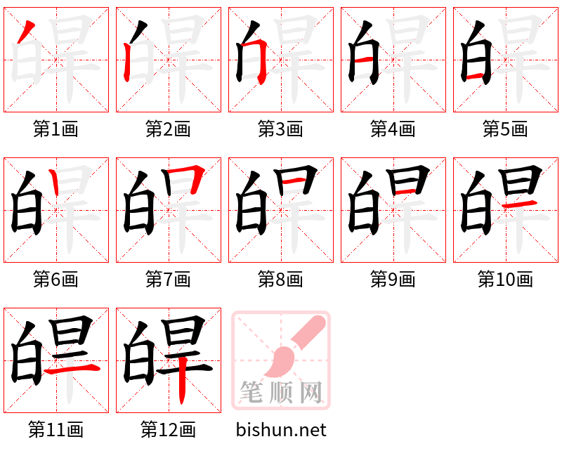 皔 笔顺规范