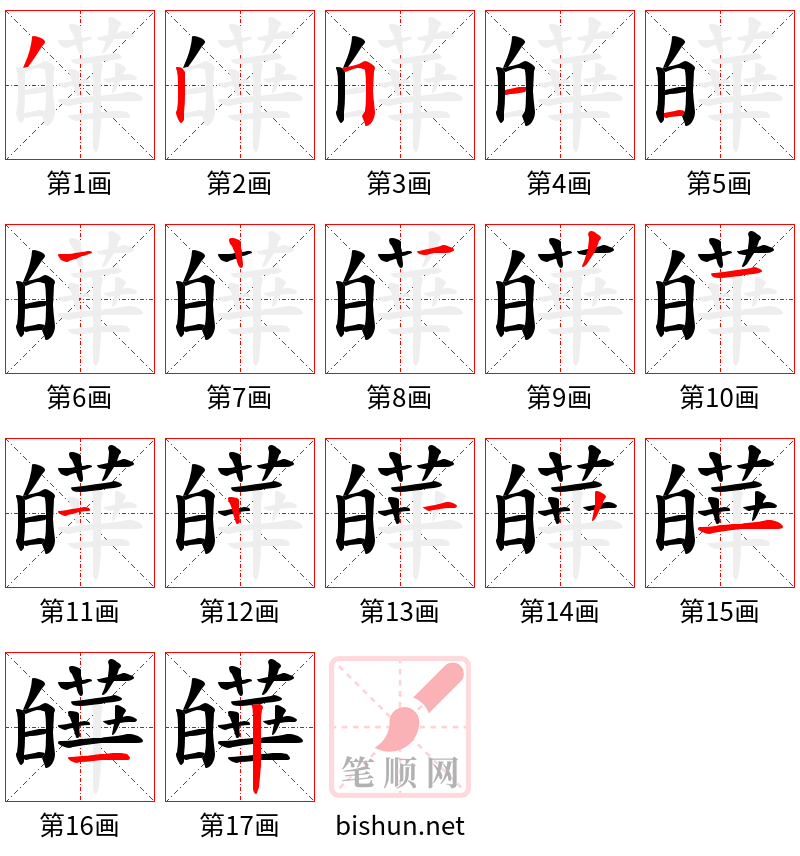 皣 笔顺规范