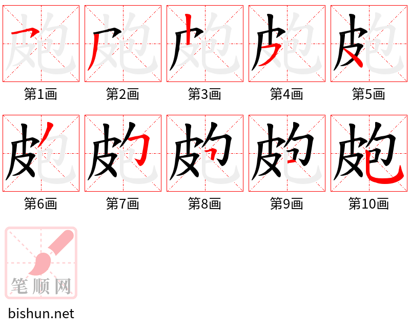 皰 笔顺规范