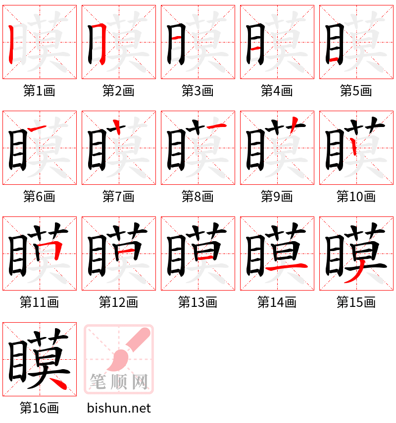 瞙 笔顺规范