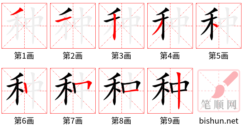 种 笔顺规范