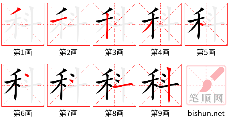 科 笔顺规范