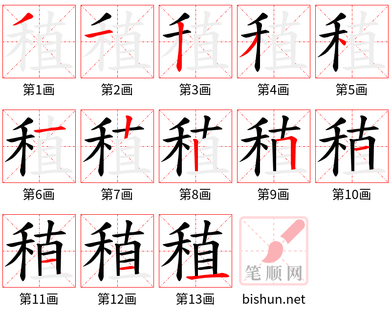 稙 笔顺规范