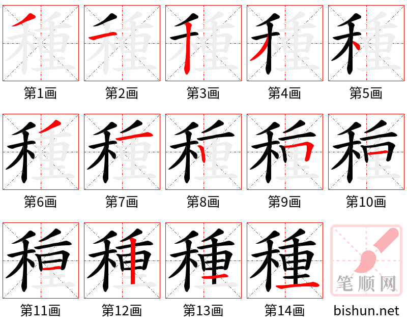 種 笔顺规范