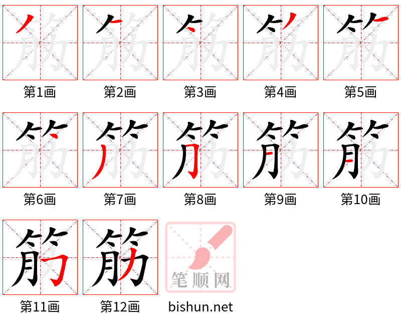 筋 笔顺规范